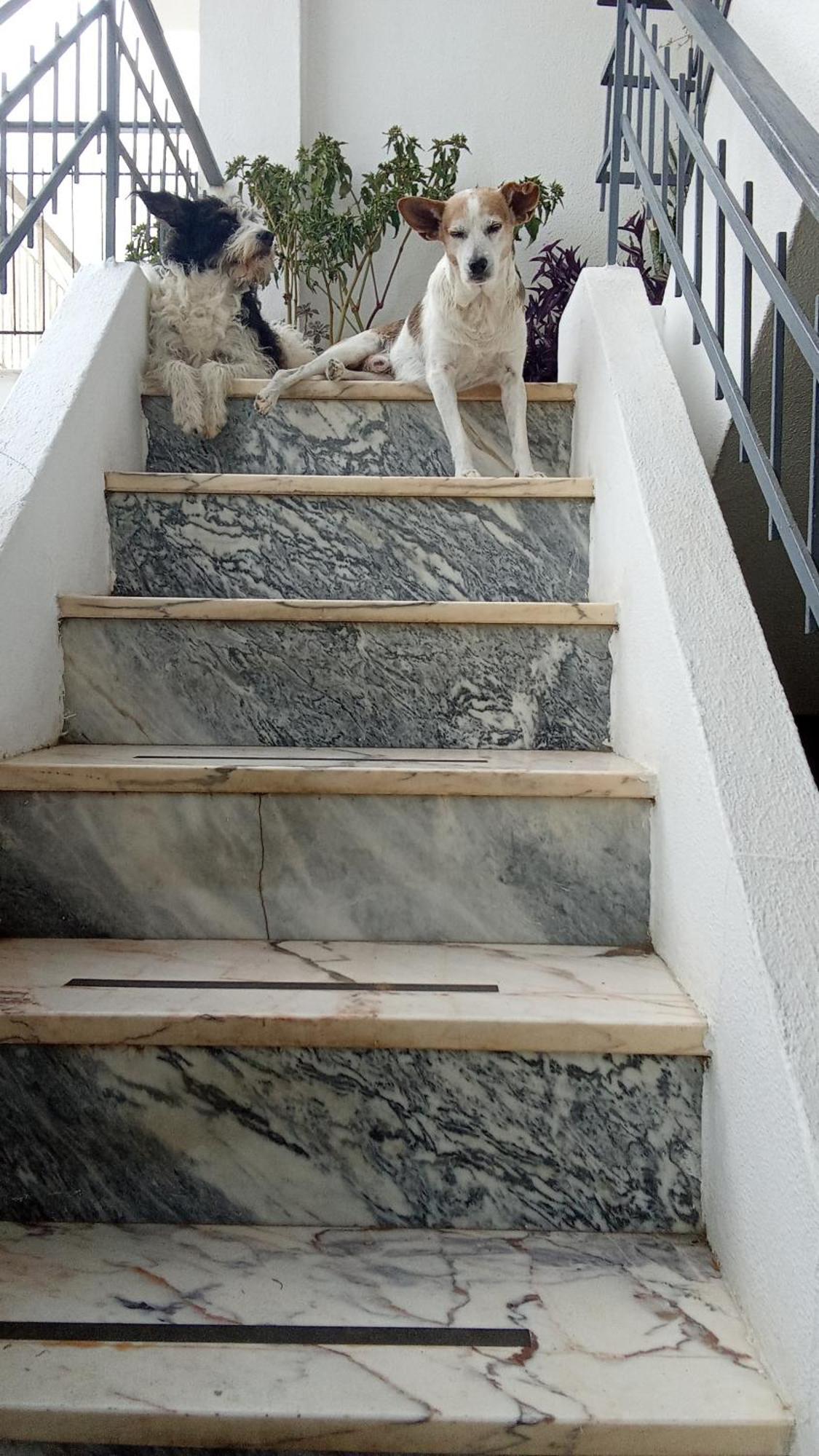 Apartament ztiR Olhão Zewnętrze zdjęcie