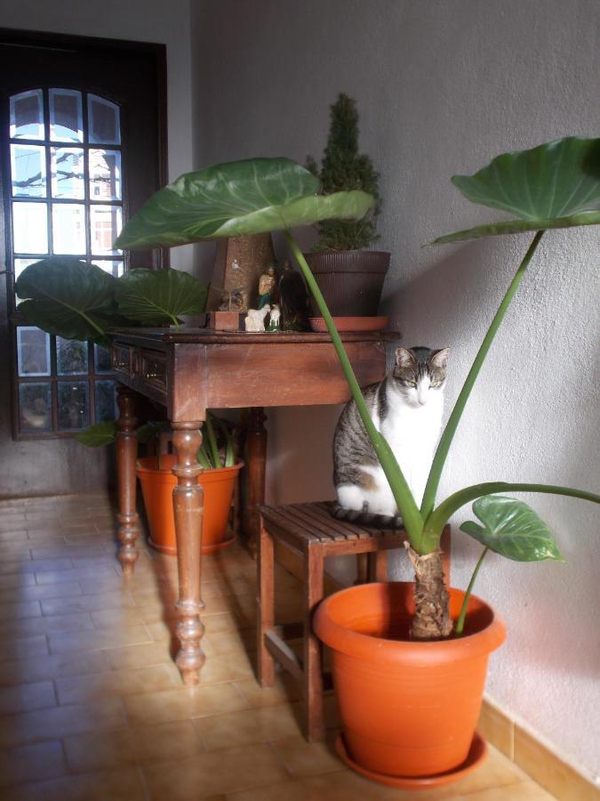 Apartament ztiR Olhão Zewnętrze zdjęcie
